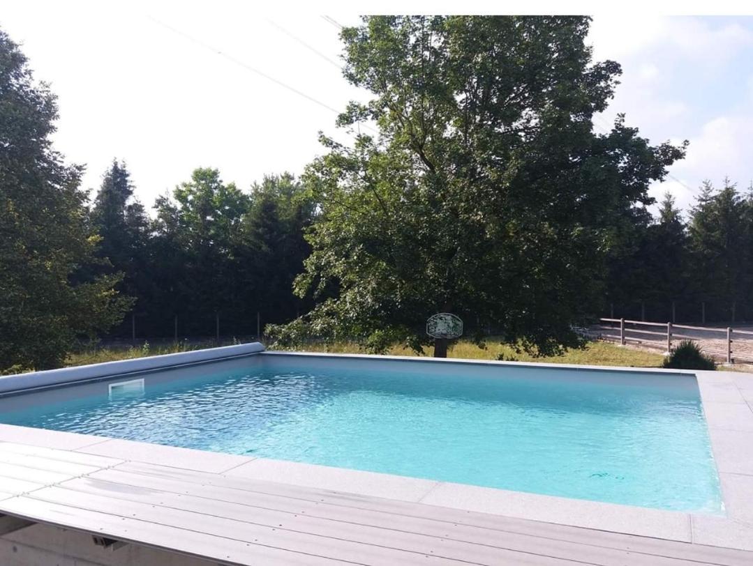 Repos Rouge-Plaisir Au Milieu Des Chevaux Apartamento Kembs Exterior foto