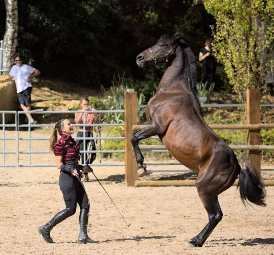 Repos Rouge-Plaisir Au Milieu Des Chevaux Apartamento Kembs Exterior foto